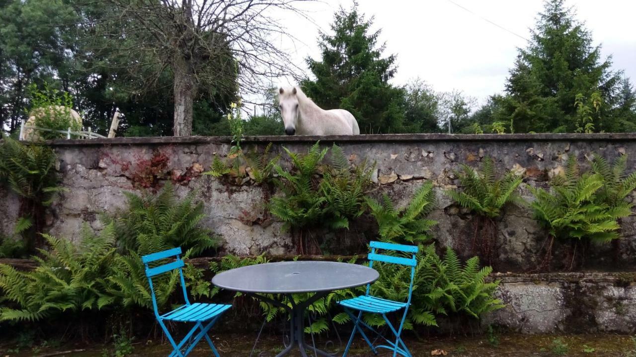 Les Anniquins Villa Ivoy-le-Pre Exterior photo