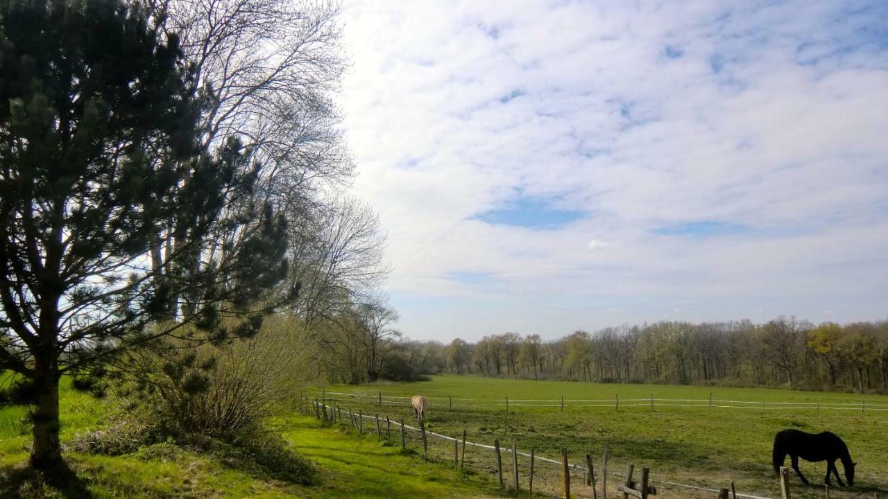 Les Anniquins Villa Ivoy-le-Pre Exterior photo